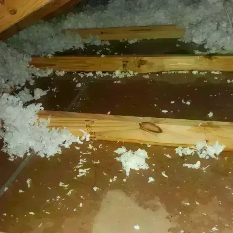 Attic Water Damage in Audrain County, MO